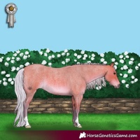 Horse Color:Watercolor Silver Bay Roan 