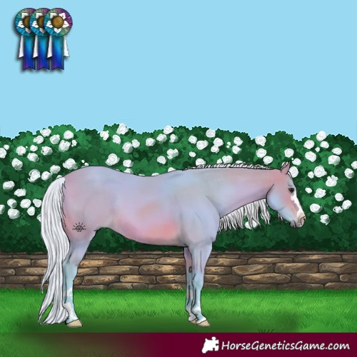 Horse Color:Watercolor Silver Brown 
