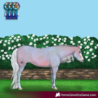 Horse Color:Watercolor Silver Brown 
