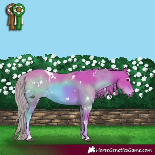 Horse Color:Watercolor White Spotted Chestnut 