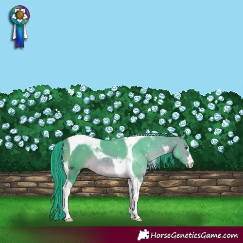 Horse Color:Painted Watercolor Brown Tobiano 