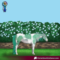 Horse Color:Painted Watercolor Brown Tobiano 