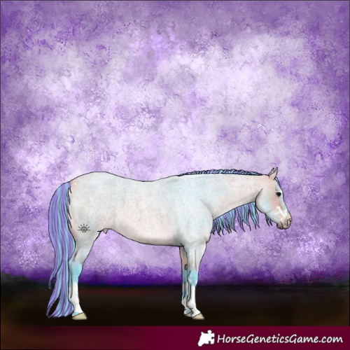 Horse Color:Painted Watercolor Buckskin Roan 