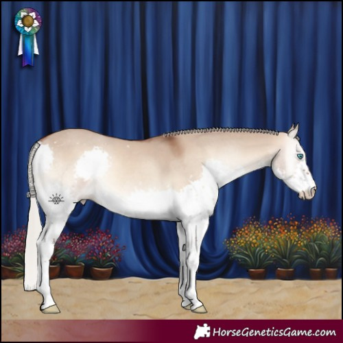 Horse Color:Silver Bay Onyx Splash 
