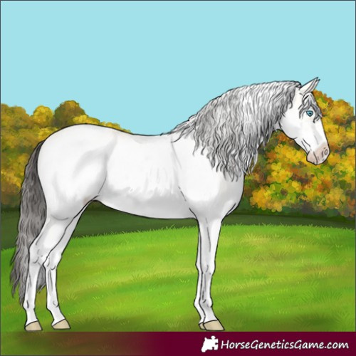 Horse Color:White Spotted Amber Cream Champagne Dun Frame 