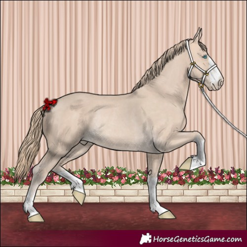 Horse Color:Perlino Rabicano 