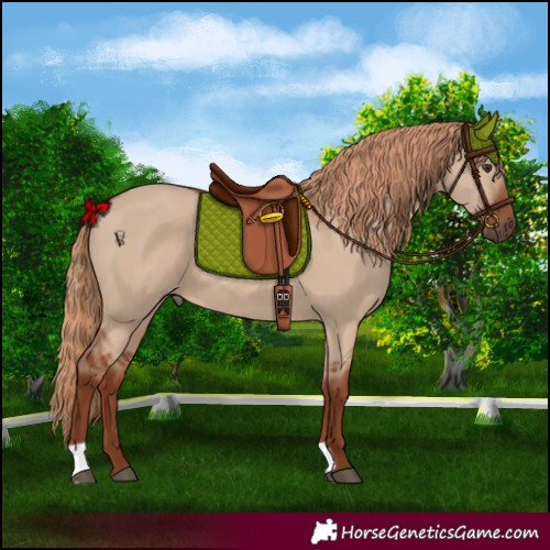 Horse Color:Red Dun 