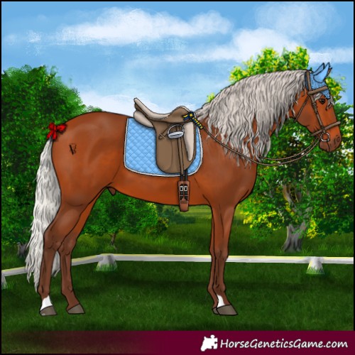 Horse Color:Silver Bay 
