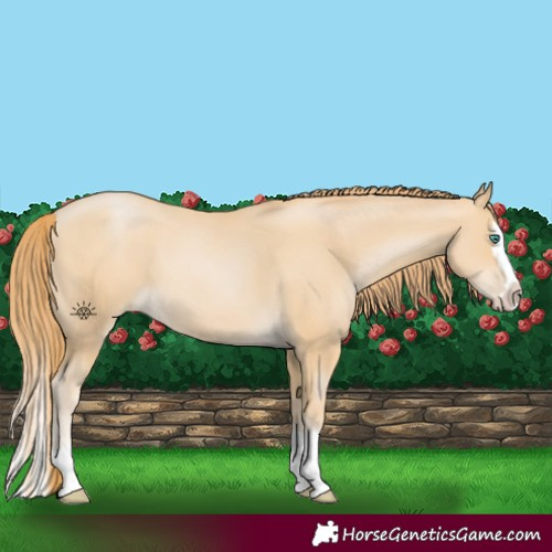 Horse Color:Smoky Black Pearl Splash