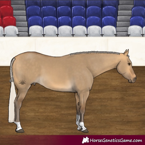 Horse Color:Silver Buckskin Dun Tobiano 