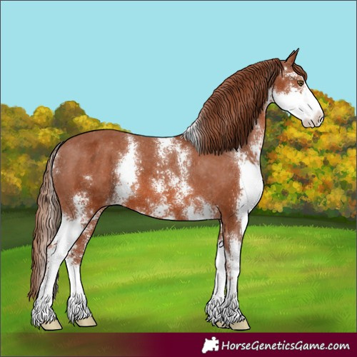 Horse Color:Chestnut Sabino Varnish