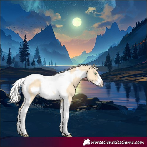 Horse Color:Silver Amber Cream Champagne Tobiano Frame 