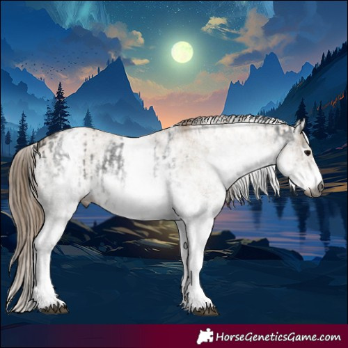 Horse Color:Gray White Spotted Smoky Black  and Gray White Spotted Smoky Black Pearl 