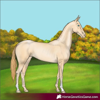 Horse Color:Buckskin Pearl 
