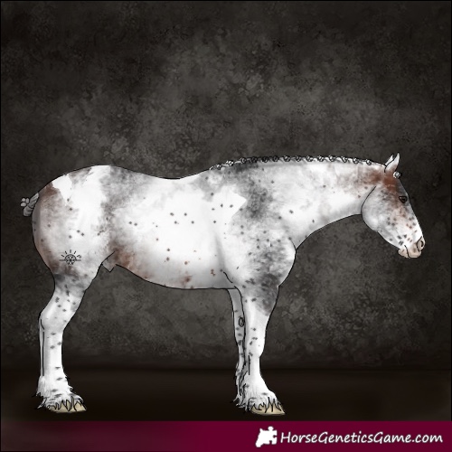 Horse Color:White Spotted Brown Tobiano 
