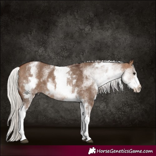 Horse Color:White Spotted Silver Brown Dun 