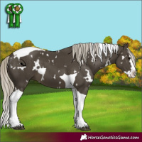 Horse Color:White Spotted Silver Smoky Black Splash Tobiano 