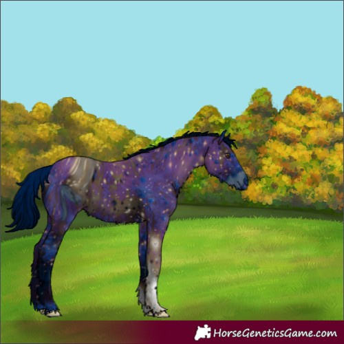 Horse Color:ERROR: UNKNOWN ANOMALY