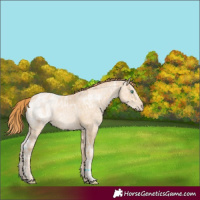Horse Color:ERROR: UNKNOWN ANOMALY