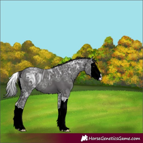Horse Color:ERROR: UNKNOWN ANOMALY