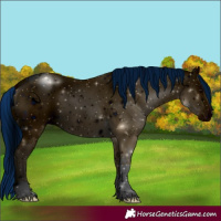 Horse Color:ERROR: UNKNOWN ANOMALY