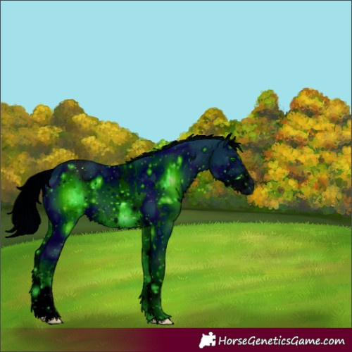 Horse Color:ERROR: UNKNOWN ANOMALY