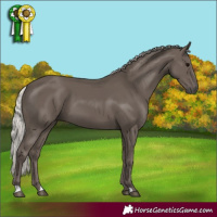 Horse Color:Silver Black 