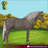 Horse Color:Silver Black 