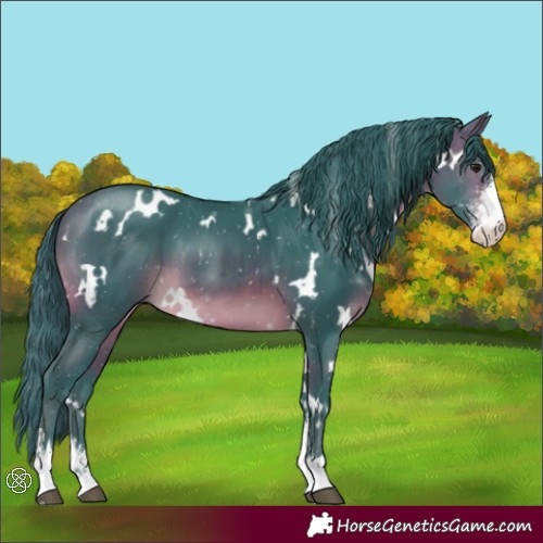 Horse Color:Watercolor White Spotted Brown Sabino 