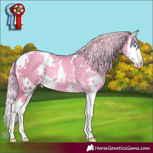 Horse Color:Watercolor White Spotted Gold Cream Champagne Splash Rabicano 