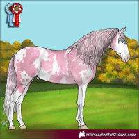 Horse Color:Watercolor White Spotted Gold Cream Champagne Splash Rabicano 