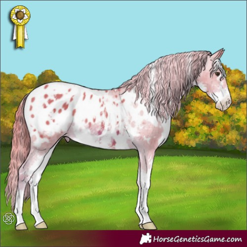Horse Color:Watercolor White Spotted Chestnut Sabino Appaloosa 