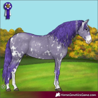 Horse Color:Watercolor White Spotted Grullo Sabino