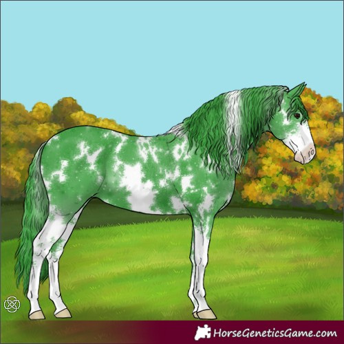 Horse Color:Watercolor White Spotted Black Sabino 