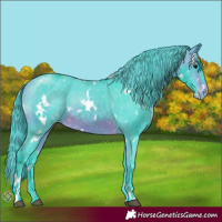 Horse Color:Watercolor White Spotted Brown Appaloosa