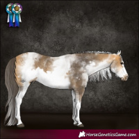 Horse Color:White Spotted Buckskin Frame Rabicano 