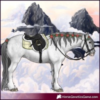 Horse Color:White Spotted Blue Roan