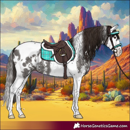 Horse Color:Liver Chestnut Sabino Splash Tobiano Appaloosa 