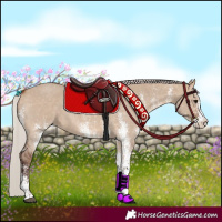 Horse Color:White Spotted Silver Bay Dun