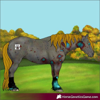 Horse Color:ERROR: UNKNOWN ANOMALY