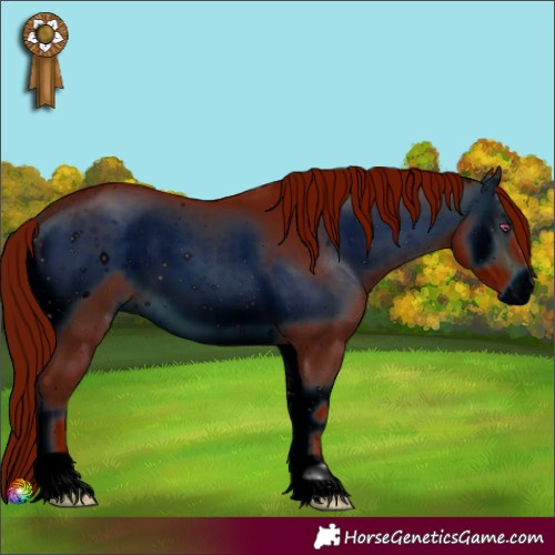 Horse Color:ERROR: UNKNOWN ANOMALY