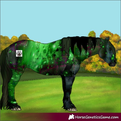 Horse Color:ERROR: UNKNOWN ANOMALY