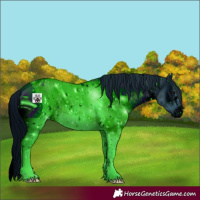 Horse Color:ERROR: UNKNOWN ANOMALY
