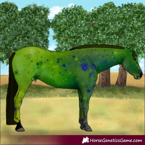 Horse Color:ERROR: UNKNOWN ANOMALY