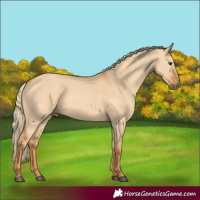 Horse Color:Red Dun 