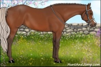 Horse Color:Silver Bay