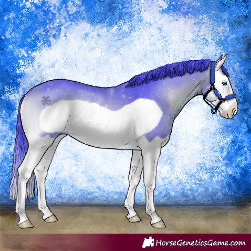 Horse Color:Watercolor Bay Onyx Splash Frame 