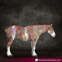Horse Color:Nacre White Spotted Chestnut 