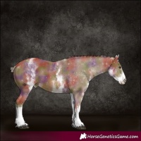 Horse Color:Nacre White Spotted Chestnut