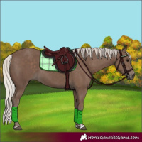 Horse Color:Silver Black 